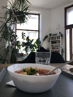   at Smaki Roslinne in Krakow