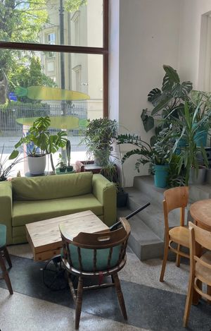   at Smaki Roslinne in Krakow