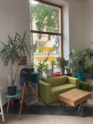   at Smaki Roslinne in Krakow