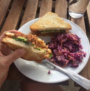 jackfruit sandwhich with side of coleslaw at Love Food Central in St Petersburg