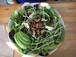 361 Salad at Love Food Central in St Petersburg