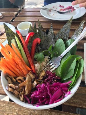 Shiitake Bowl at Love Food Central in St Petersburg