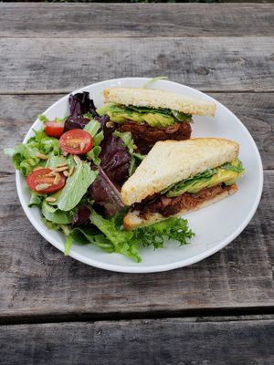 Jackfruit pulled bbq at Love Food Central in St Petersburg