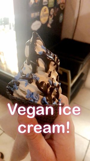 Vegan soft serve in a charcoal cone w/ sprinkles & chocolate drizzle! 🍦🥰 at Love Food Central in St Petersburg