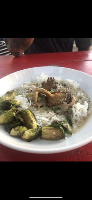 Brussels sprouts, rice, and mushrooms 🍄  at Love Food Central in St Petersburg