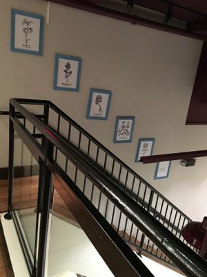 Upstairs - the stairway at Little Beet - 18th St in Washington