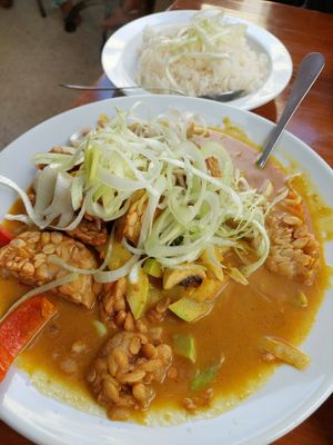 Curry with tempeh at Casa Ari in Gran Canaria