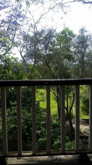 pretty outlook at Bonta Vera in Minmi