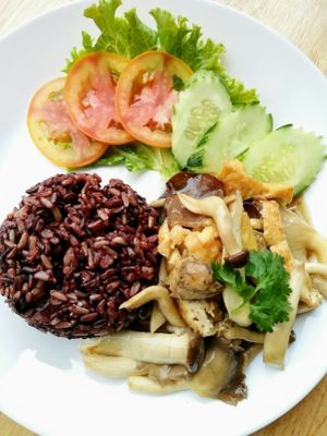 Stir fried mixed mushroom with mushroom sauce served with rice at Veggie Chef in Bangkok
