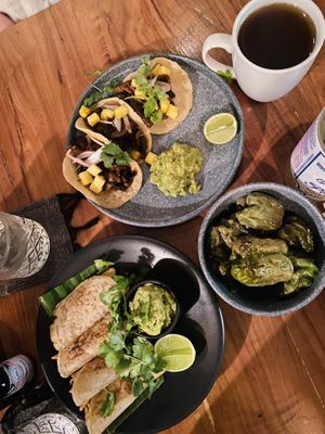 Veg Broth; Grilled Sweet Peppers, Quesadilha and Tacos   at Sanara  in Tulum