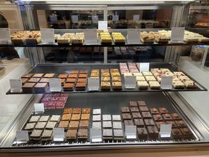 Sue bites Oct 2023  at SUE in Rotterdam