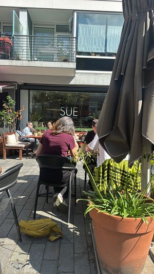   at SUE in Rotterdam