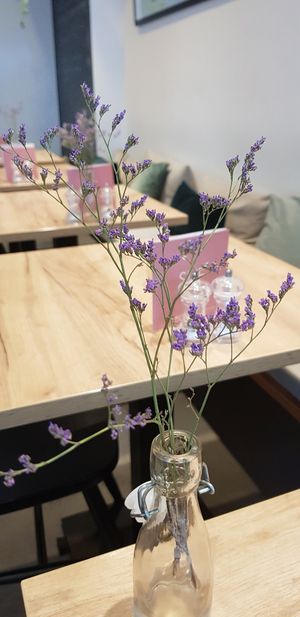 Sue Store at SUE in Rotterdam