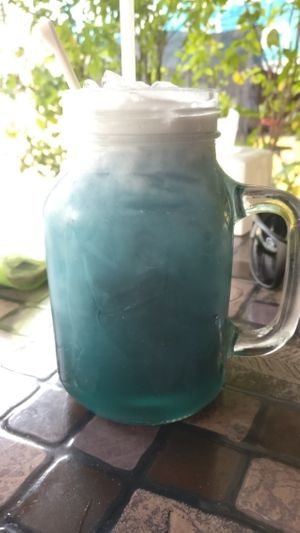 Blueflower drink with coconut cream  at Pai Vegetarian in Pai