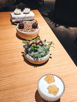 Petit 4 at Grön Restaurant in Helsinki