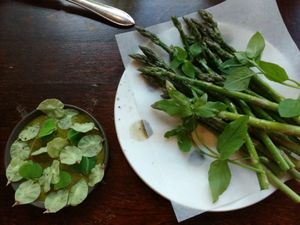 Starter: asparagus with summer herbs and a special dip.  at Grön Restaurant in Helsinki