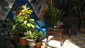 Outside Garden at Lost Lounge in Chiang Mai