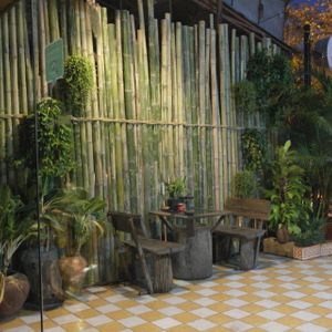 The Lost Garden Of Chiang Mai at Lost Lounge in Chiang Mai