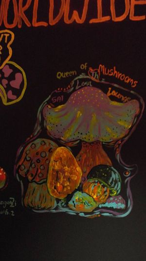 lost at Lost Lounge in Chiang Mai