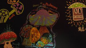 lost at Lost Lounge in Chiang Mai