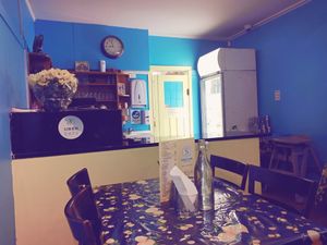 Interior at Saattveek in Auckland