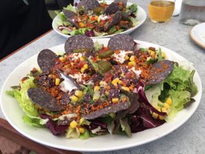 vegan taco salad  at Thomas's Bach in Waiheke Island
