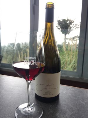 Vegan Syrah. Delicious ! at Thomas's Bach in Waiheke Island