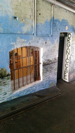 Cafe entrance down the alley at Naturalley Organic Cafe in Dunedin