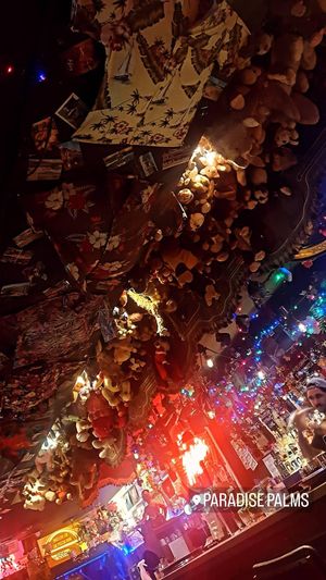  at Lucky Pig - Paradise Palms in Edinburgh