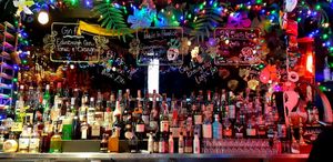 The bar at Lucky Pig - Paradise Palms in Edinburgh