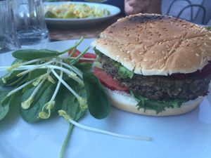 Vegan Food  at TIKI Lounge Bar in Trento