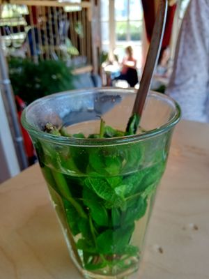 Fresh mint tea at Cafe De Ceuvel in Amsterdam