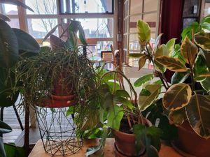 Interior at Cafe De Ceuvel in Amsterdam