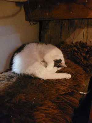  at Cafe De Ceuvel in Amsterdam