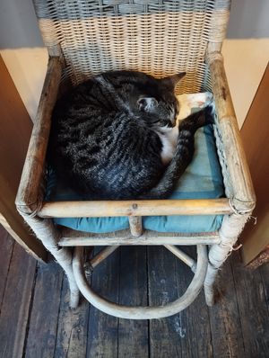  at Cafe De Ceuvel in Amsterdam