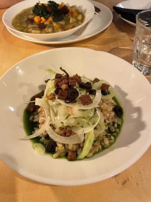 Barley risotto with parsley root and fennel  at Cafe De Ceuvel in Amsterdam