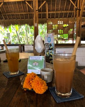 House made ginger ale and tamarind lime drink at Sopa - Jl Raya Nyuh in Ubud