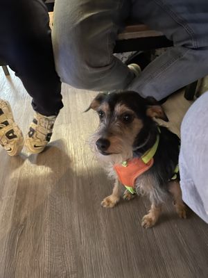   at La Clote in Barcelona