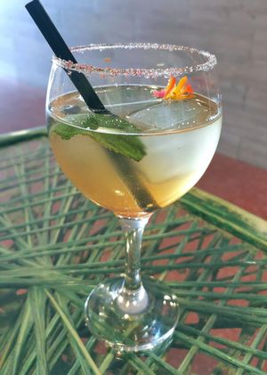 Kombucha at Samelo Veg in Tenerife