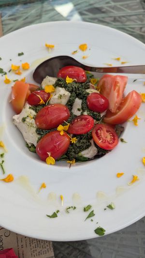 Burata at Samelo Veg in Tenerife