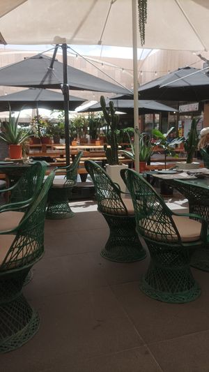  at Samelo Veg in Tenerife