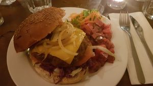 Vegan burger that tasted way too much like meat for my taste at Hoezo in Leiden