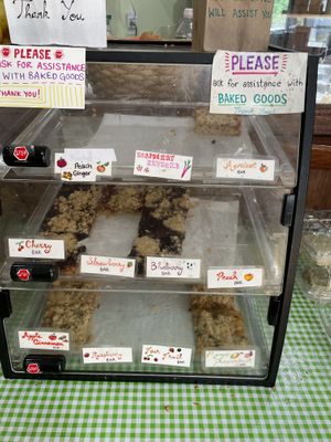 Vegan and gluten free at New Morning Natural Foods in Manchester Center
