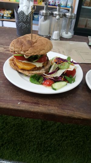 My Gorgeous Lunch at PlantBased Exmouth in Exmouth