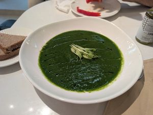 Spinach soup at BIOrganic Raw Cafe in Chisinau