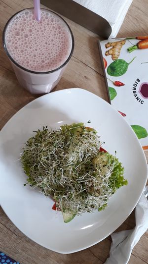 Avocado sandwich at BIOrganic Raw Cafe in Chisinau