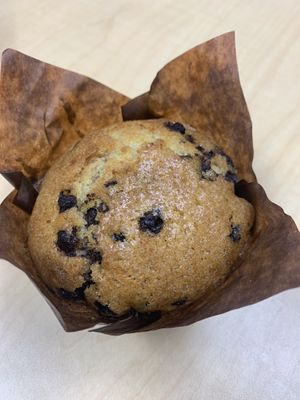 Vegan chocolate chip muffin at Ghostlight Coffee in Dayton