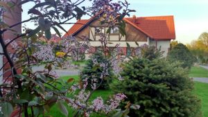 Pension and holiday apartments with Slow Food restaurant serving vegetarian and vegan meals. Quiet and green area in the lake district just 25 km from 3cities and Baltic sea. at Czarny Kos in Borkowo