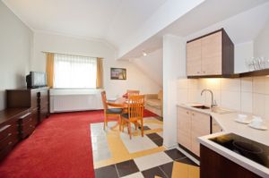 Pension and holiday apartments with Slow Food restaurant serving vegetarian and vegan meals. Quiet and green area in the lake district just 25 km from 3cities and Baltic sea. at Czarny Kos in Borkowo