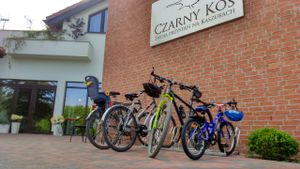 Pension and holiday apartments with Slow Food restaurant serving vegetarian and vegan meals. Quiet and green area in the lake district just 25 km from 3cities and Baltic sea. at Czarny Kos in Borkowo